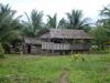 A home in the bush of Guyana